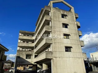 岐阜県各務原市那加新加納町【マンション】の外観