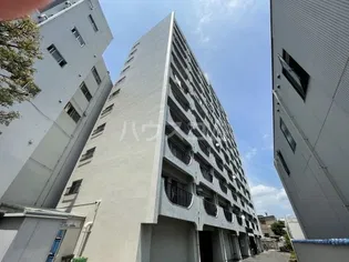 向島ハイツの画像