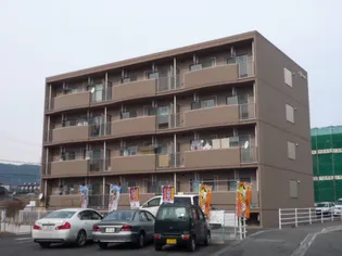 エクセリーナの画像