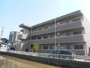 ソレアード ハルディンの画像