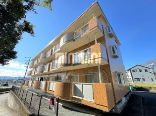 パレステージの画像