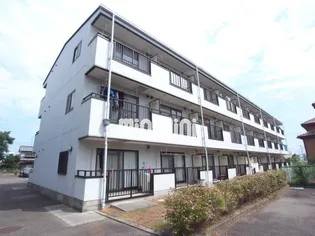 パールコートの画像