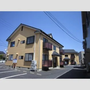 コートバニヤンの画像