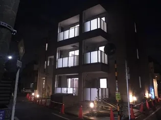 アプリコットの画像