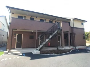 ヴェネレの画像