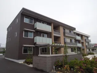 ファースト コンフォーザの画像