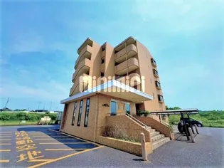 EKU'U SWEET 1の画像