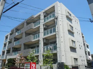 レグルスクレールの画像