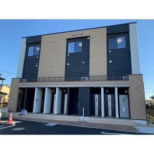 ルピナス Kの画像