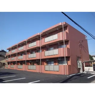 Y&Mアシュモの画像