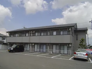 メッセムラカミの画像