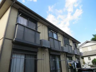 オレンジコートの画像