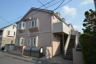 サアラオカダの画像