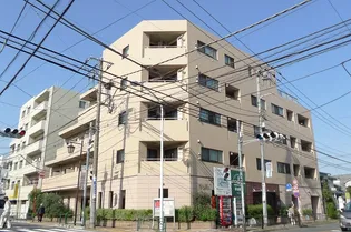 オリーブの画像