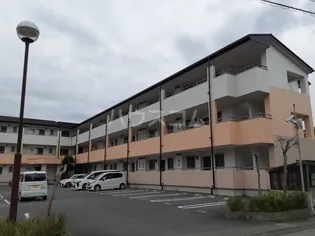 ベル・ウッドマンション【1階】の外観