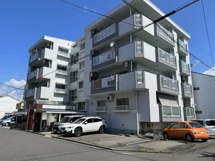 ミュールパレの画像