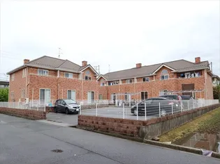 ティファナCの画像