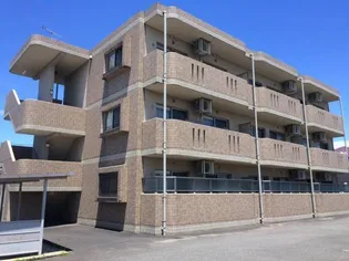 Y&Mデイジーの画像