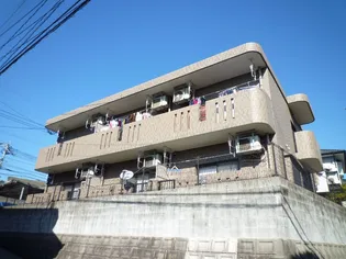 ティアラハイツ日当平【1階】の外観