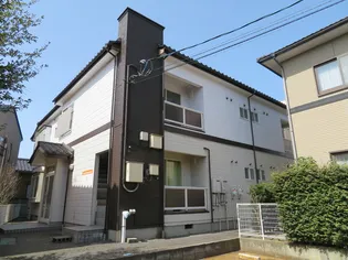 SAJAーCHERRYFIELDの画像