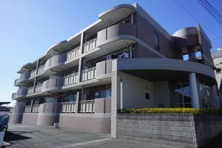 ソレイユ ルヴァン Tの画像