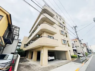 BELGRAVIATAKAHASHIの画像