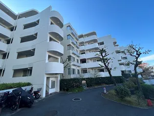 東寺尾ヒルズ85の画像