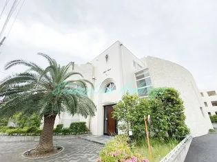 シェルコートの画像