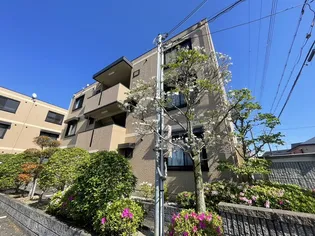 フォンテーヌIIB棟の画像