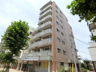 ハイグレード椿の画像