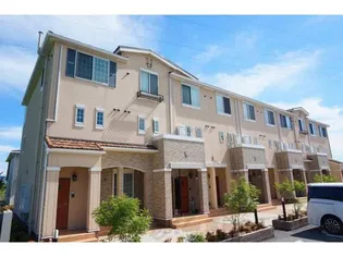 グリーン琥珀の画像