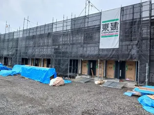 スターライトの画像