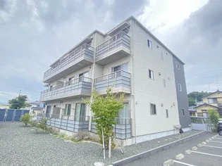 セルディーナYSの画像