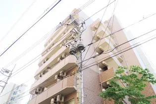 ソレアード シンコの画像