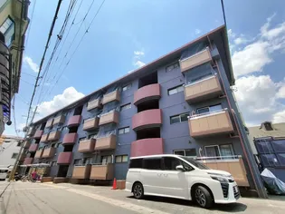 セレクトMの画像