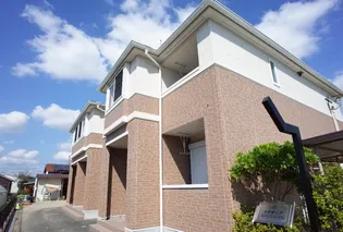 ステディアの画像