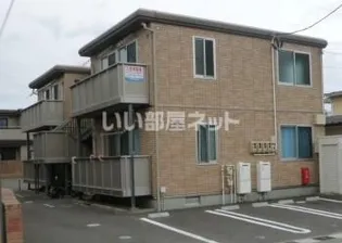 サンフラワーの画像