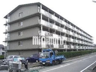 メゾングッチの画像