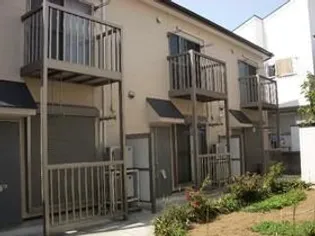 シフォンの画像