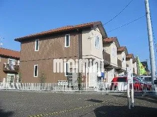 パインツリー8の画像