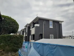 カームリーの画像