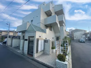 クレープ マートルの画像