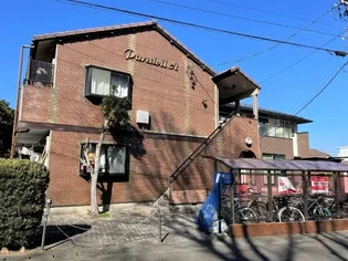 パレドールAの画像