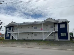 ひまわりの画像