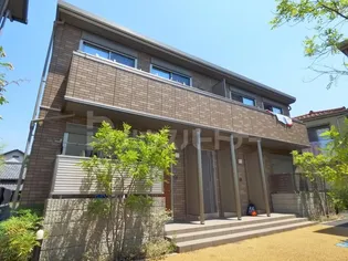 STAR FIELDの画像