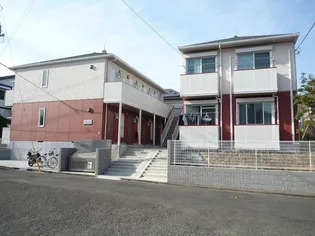 プリムローズAの画像