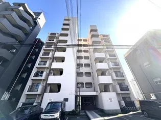 ミリオンコーポラス白菊【8階】の外観