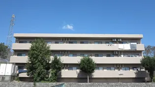 岡山県津山市大田【マンション】の外観