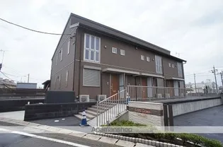 ロイヤルグリーンの画像