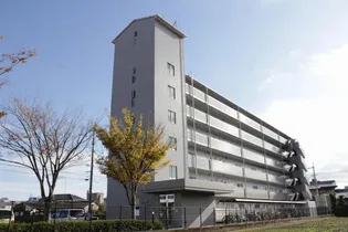 サンライズアベニュー【1階】の外観